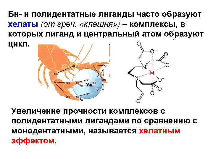 Би- и полидентатные лиганды часто образуют хелаты (от греч. «клешня» ) – комплексы, в
