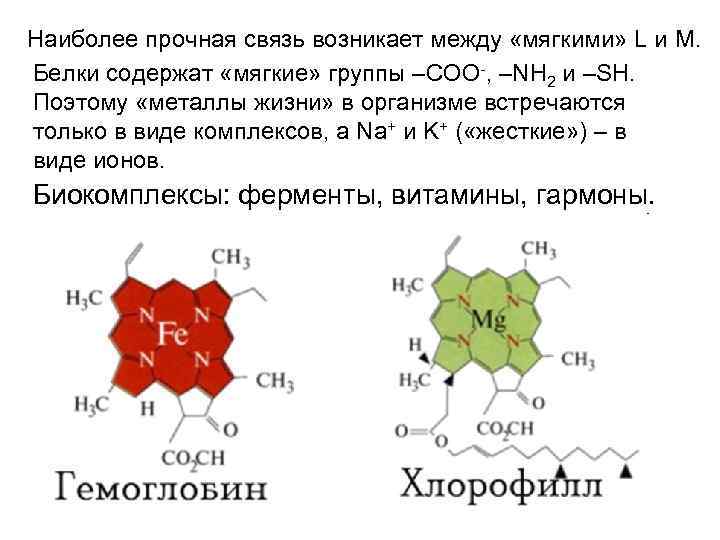 Наиболее прочная связь возникает между «мягкими» L и M. Белки содержат «мягкие» группы –COO-,