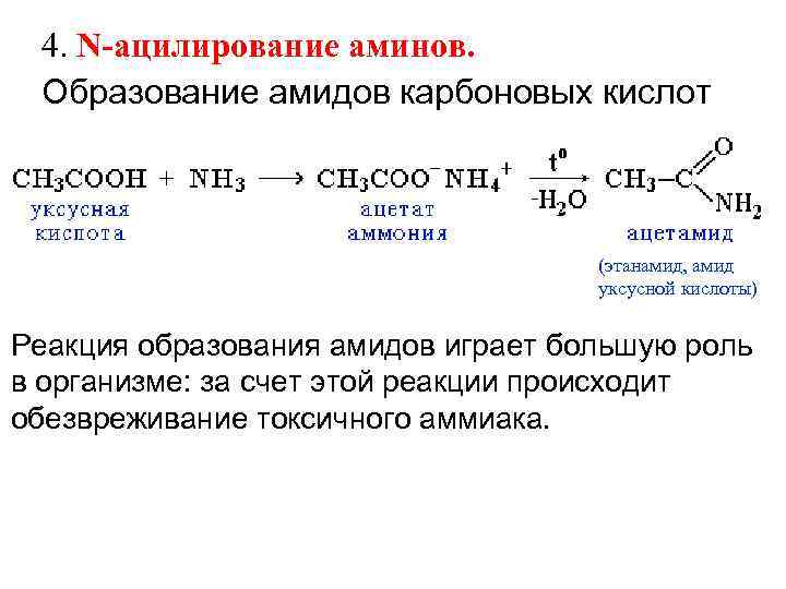 4. N ацилирование аминов. Образование амидов карбоновых кислот (этанамид, амид уксусной кислоты) Реакция образования