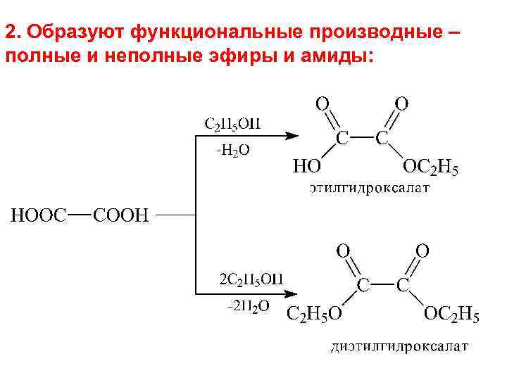 2. Образуют функциональные производные – полные и неполные эфиры и амиды: 