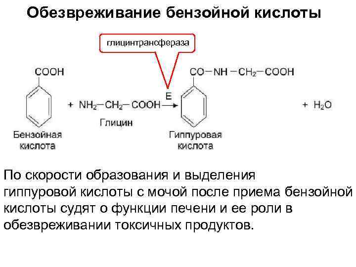 Обезвреживание бензойной кислоты глицинтрансфераза По скорости образования и выделения гиппуровой кислоты с мочой после