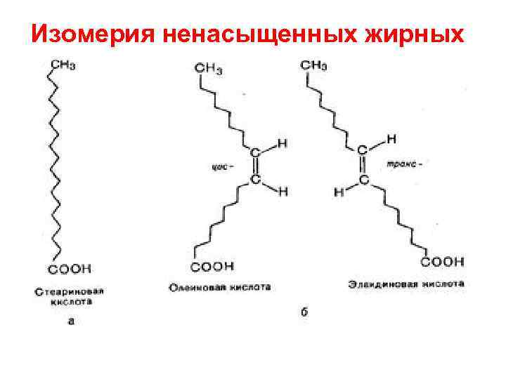 Изомерия ненасыщенных жирных кислот 