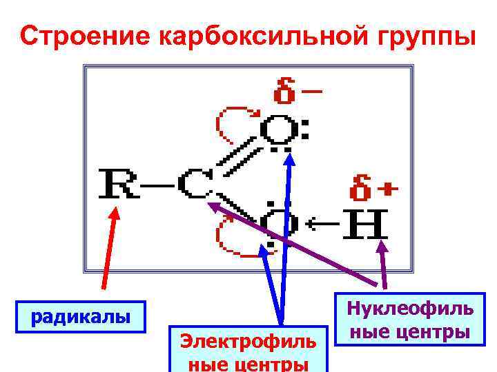 Строение карбоксильной группы радикалы Электрофиль ные центры Нуклеофиль ные центры 