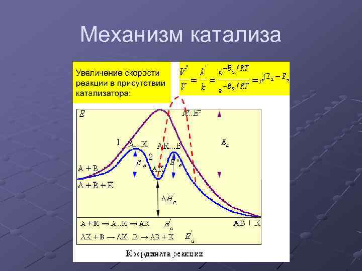 Механизм катализа 
