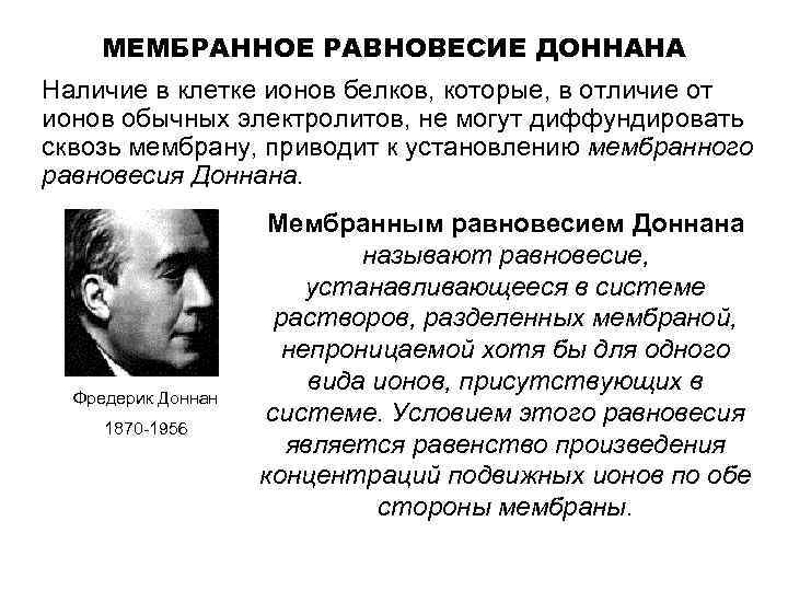 МЕМБРАННОЕ РАВНОВЕСИЕ ДОННАНА Наличие в клетке ионов белков, которые, в отличие от ионов обычных