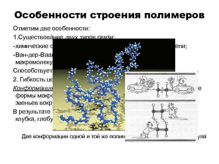 Особенности строения полимеров Отметим две особенности: 1. Существование двух типов связи: -химические связи, соединяющие