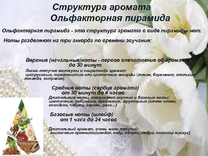  Структура аромата Ольфакторная пирамида - это структура аромата в виде пирамиды нот. Ноты