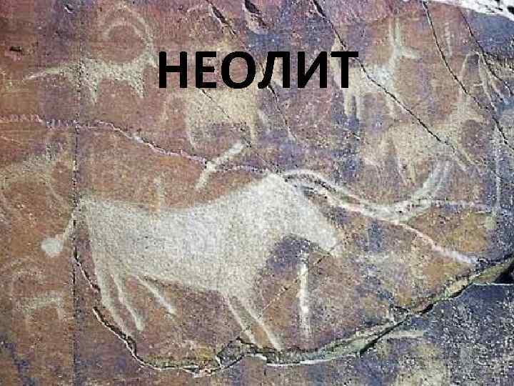 НЕОЛИТ 