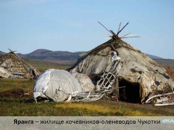 Яранга – жилище кочевников-оленеводов Чукотки 