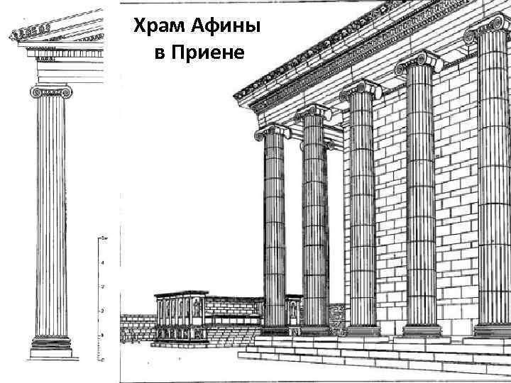 Храм Афины в Приене 