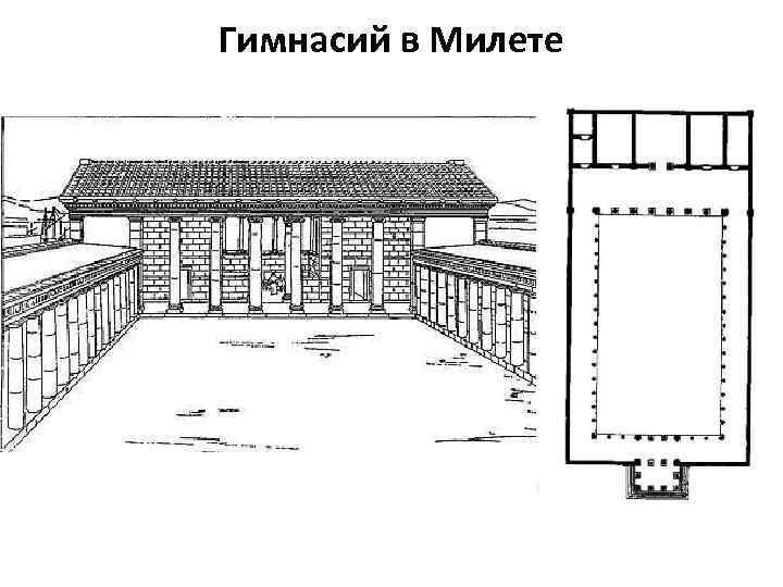 Гимнасий в Милете 