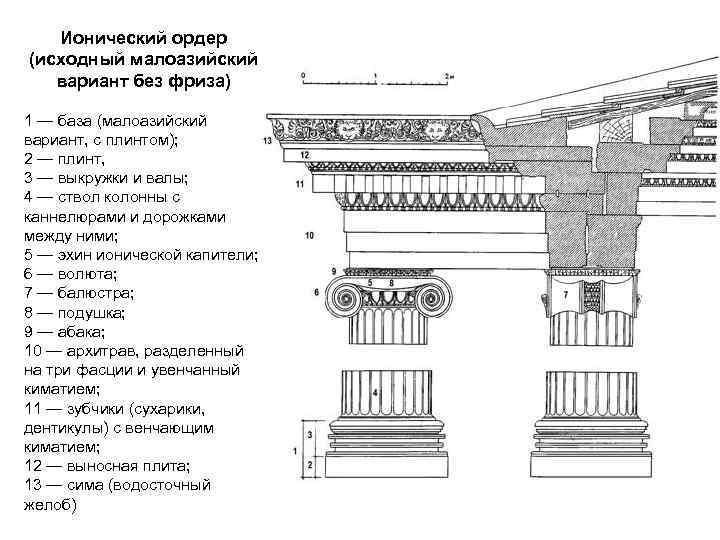 Без фриза. Антаблемент Ионического ордера. Малоазийский ионический ордер. Греческий ионический ордер малоазийский вариант. Малоазийский и аттический ионический ордер.