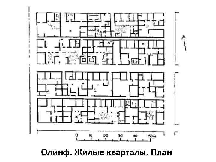 Олинф. Жилые кварталы. План 