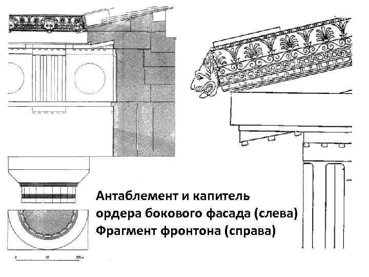 Антаблемент и капитель ордера бокового фасада (слева) Фрагмент фронтона (справа) 