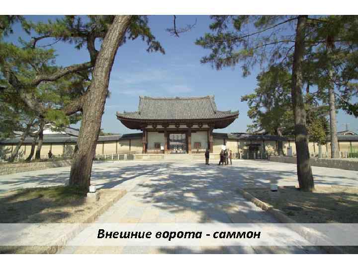 Внешние ворота - саммон 