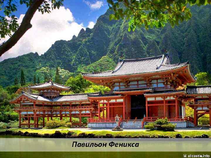 Павильон Феникса 