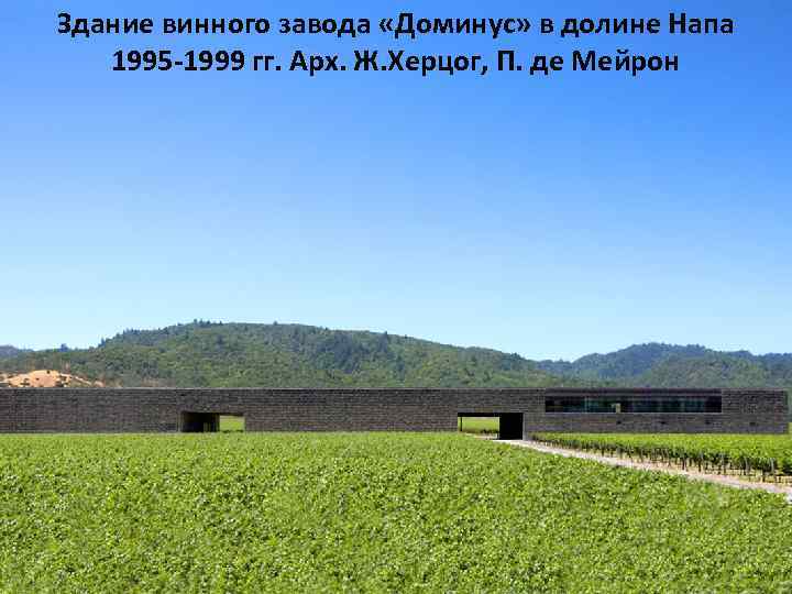 Здание винного завода «Доминус» в долине Напа 1995 -1999 гг. Арх. Ж. Херцог, П.