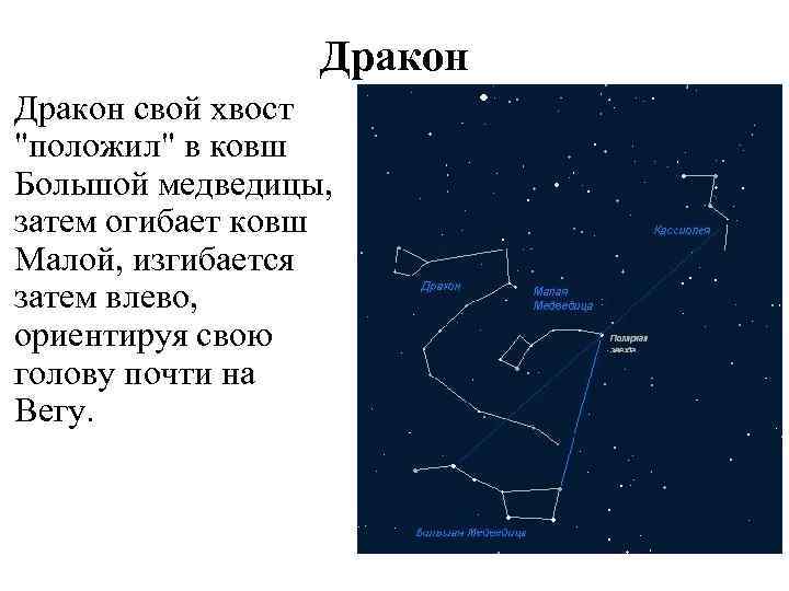 Дракон свой хвост "положил" в ковш Большой медведицы, затем огибает ковш Малой, изгибается затем