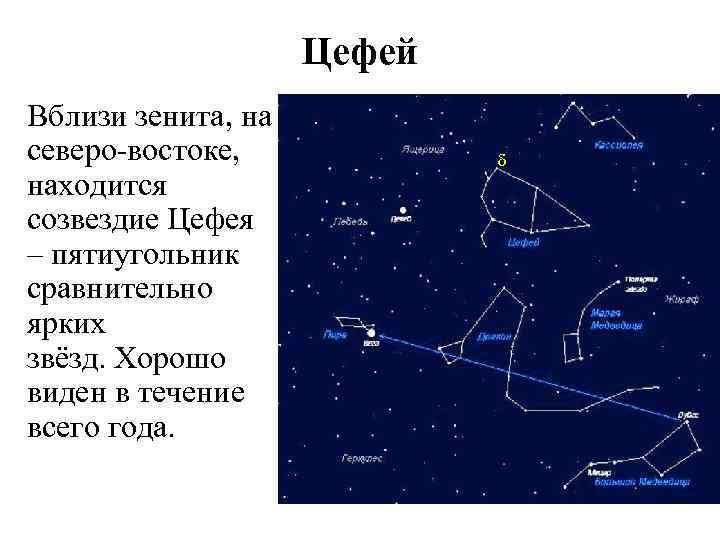 Созвездие цефей какая звезда. Цефей яркие звёзды. Созвездие расположенное в Зените. Созвездие Цефея схема. Созвездие Зенит.