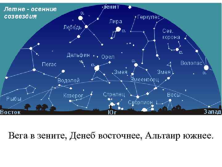 Вега в зените, Денеб восточнее, Альтаир южнее. 