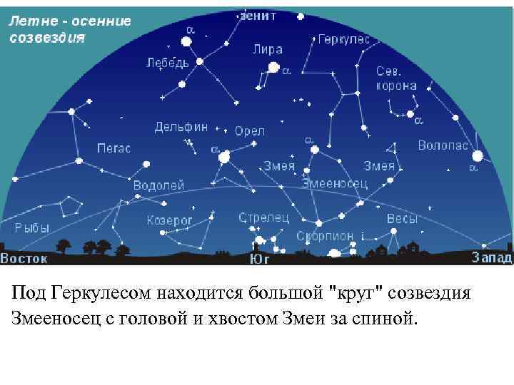 Под Геркулесом находится большой "круг" созвездия Змееносец с головой и хвостом Змеи за спиной.