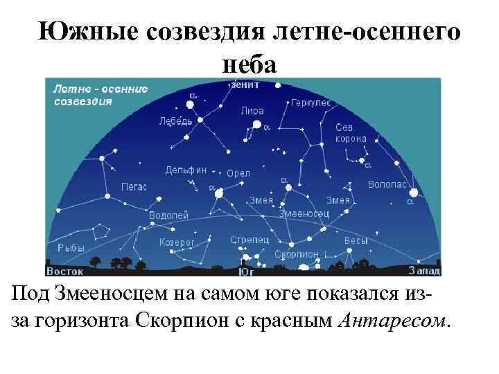 Южные созвездия летне-осеннего неба Под Змееносцем на самом юге показался изза горизонта Скорпион с