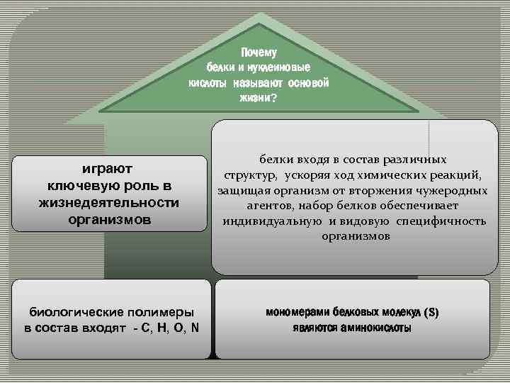 Почему белки и нуклеиновые кислоты называют основой жизни? играют ключевую роль в жизнедеятельности организмов