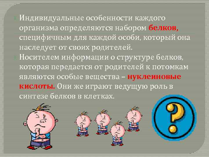  Индивидуальные особенности каждого организма определяются набором белков, специфичным для каждой особи, который она