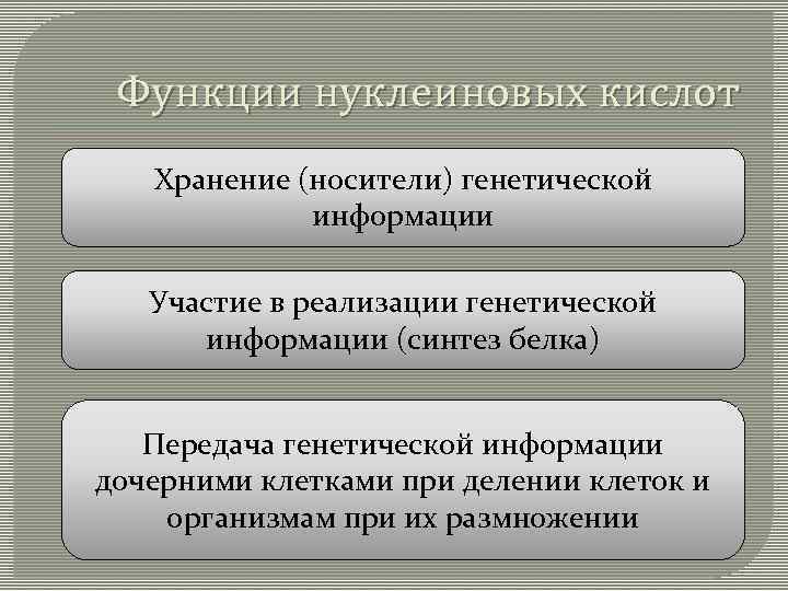 Функции нуклеиновых кислот Хранение (носители) генетической информации Участие в реализации генетической информации (синтез белка)