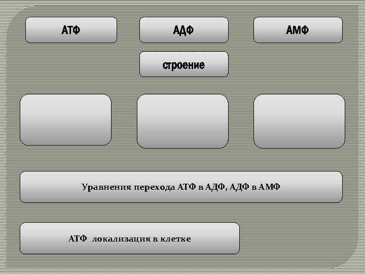 АТФ АДФ строение Уравнения перехода АТФ в АДФ, АДФ в АМФ АТФ локализация в