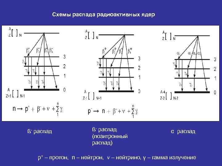 Схемы распада радиоактивных ядер ß- распад (позитронный распад) α распад р+ – протон, n