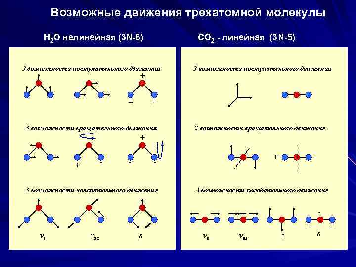 Возможные движения трехатомной молекулы Н 2 О нелинейная (3 N-6) СО 2 - линейная