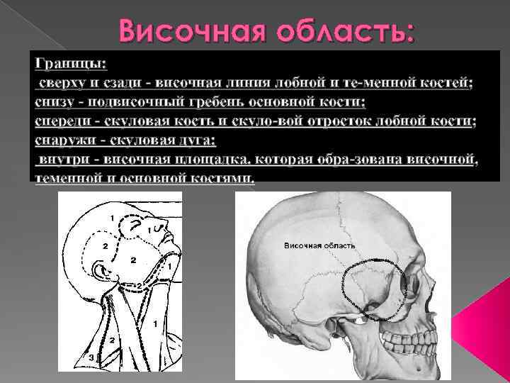 Флегмона височной области фото