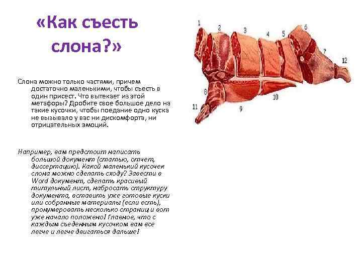  «Как съесть слона? » Слона можно только частями, причем достаточно маленькими, чтобы съесть