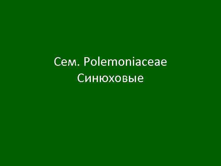 Сем. Polemoniaceae Синюховые 