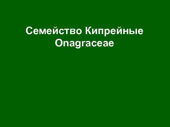 Семейство Кипрейные Оnagraceae 