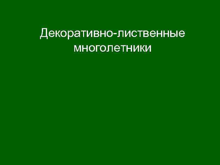 Декоративно-лиственные многолетники 