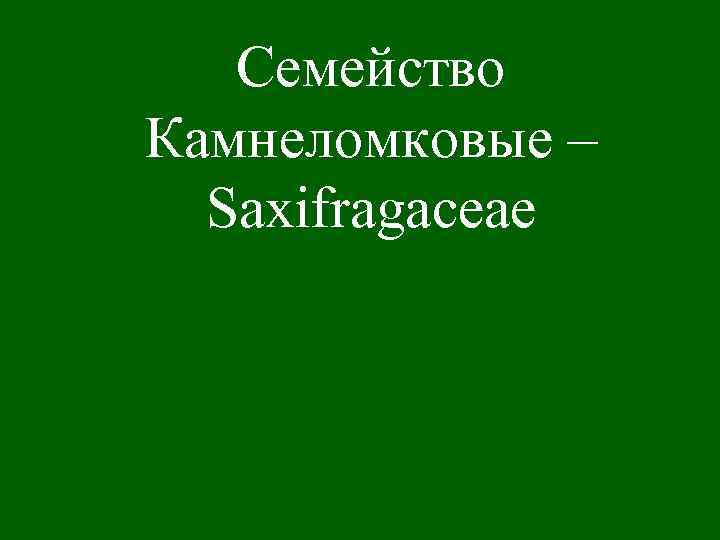 Семейство Камнеломковые – Saxifragaceae 