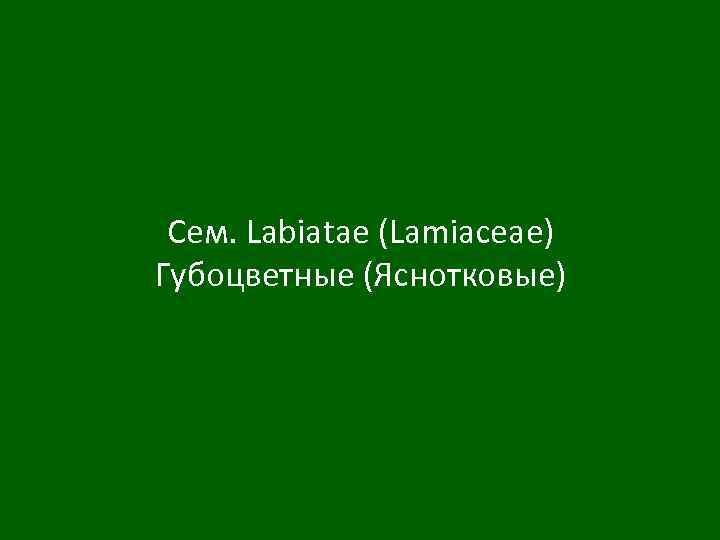 Сем. Labiatae (Lamiaceae) Губоцветные (Яснотковые) 