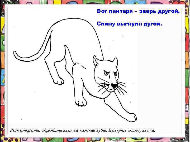 Вот пантера – зверь другой. Спину выгнула дугой. Рот открыть, спрятать язык за нижние