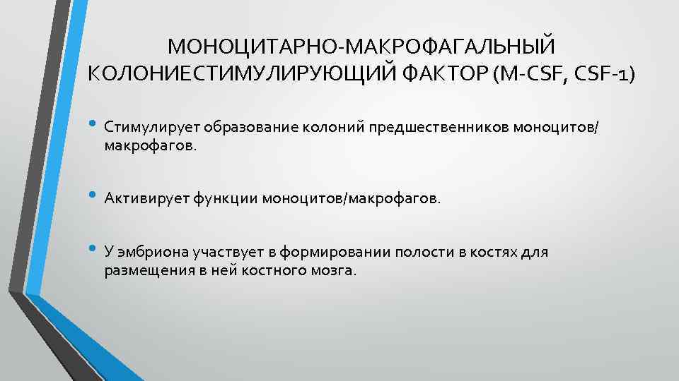 МОНОЦИТАРНО-МАКРОФАГАЛЬНЫЙ КОЛОНИЕСТИМУЛИРУЮЩИЙ ФАКТОР (M-CSF, CSF-1) • Стимулирует образование колоний предшественников моноцитов/ макрофагов. • Активирует