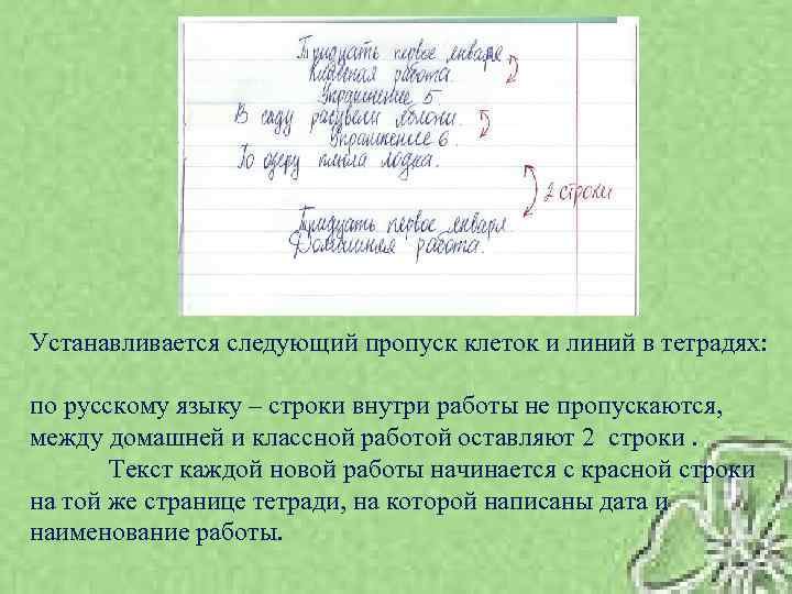 Устанавливается следующий пропуск клеток и линий в тетрадях: по русскому языку – строки внутри