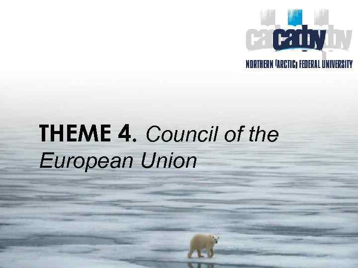 THEME 4. Council of the European Union 