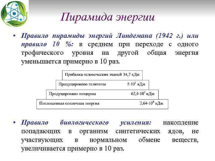 Пирамида энергии • Правило пирамиды энергий Линдемана (1942 г. ) или правило 10 %: