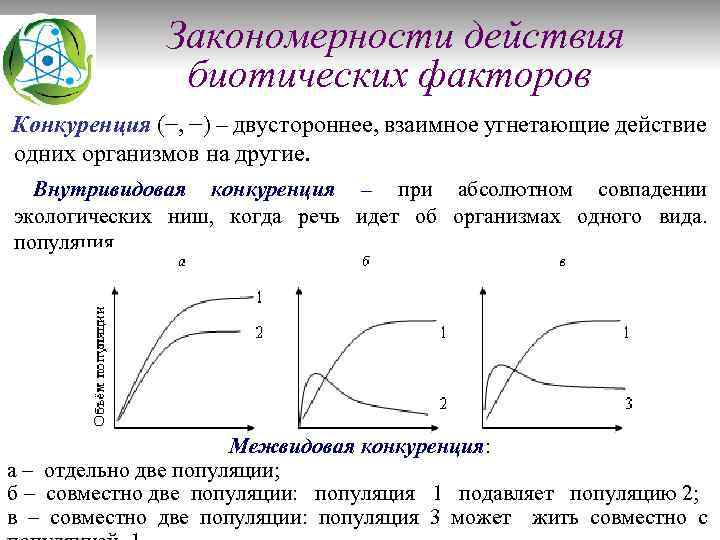 Закономерности действия биотических факторов Конкуренция (−, −) – двустороннее, взаимное угнетающие действие одних организмов