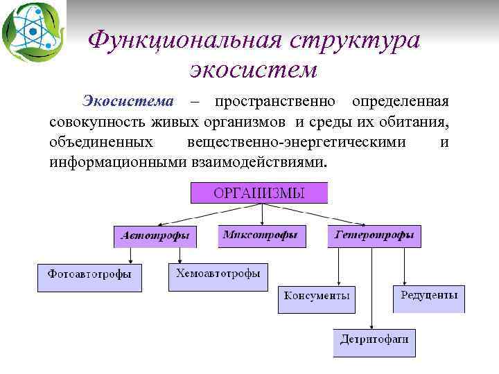 Функциональная структура экосистем Экосистема – пространственно определенная совокупность живых организмов и среды их обитания,