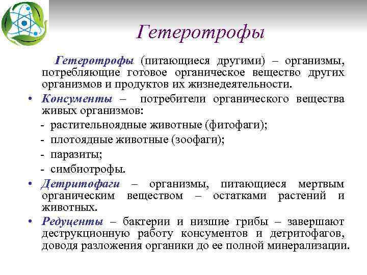 Гетеротрофы (питающиеся другими) – организмы, потребляющие готовое органическое вещество других организмов и продуктов их