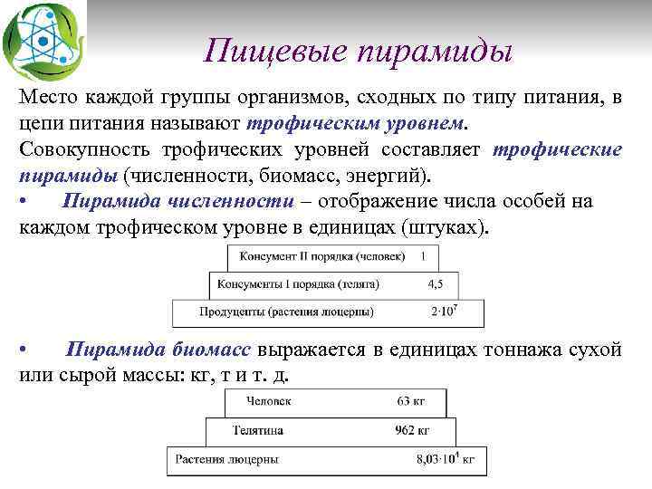 Пищевые пирамиды Место каждой группы организмов, сходных по типу питания, в цепи питания называют