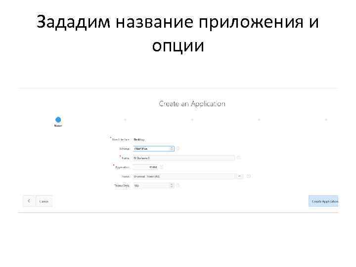 Зададим название приложения и опции 