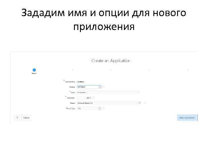 Зададим имя и опции для нового приложения 